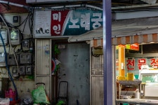 데이터조심) 오늘자 사진 jpg. - 캐논 갤러리