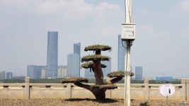 Commercial Union Centre | NANCHANG | 272 m x 2 | 58 fl | 57 fl | SkyscraperCity Forum Commercial Union Centre | NANCHANG | 272 m... 