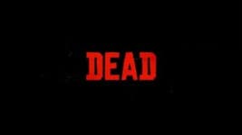 Let Us Pet The Cats, Red Dead Redemption 2