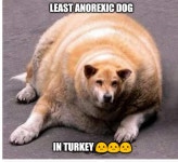 chunge referens ,??? | /r/okbuddyretard | OkBuddyRetard | Know Your Meme chunge referens ,??? | /r/okbuddyretard | OkBuddyRetard