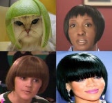 [Image - 316010] | Limecat | Know Your Meme [Image - 316010] | Limecat