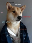 [Image - 582651] | Doge | Know Your Meme [Image - 582651] | Doge