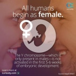 [Image - 898007] | Know Your Meme [Image - 898007]