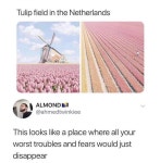 This place that melts worries away | r/wholesomememes | Know Your Meme This place that melts worries away | r/wholesomememes