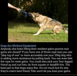 /fit/izen finds a way to keep his gains during the pandemic | /r/4chan | 4chan | Know Your Meme /fit/izen finds a way to keep his... 