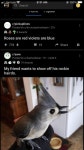 Nice Hairdo | /r/wholesomememes | Wholesome Memes | Know Your Meme Nice Hairdo | /r/wholesomememes | Wholesome Memes