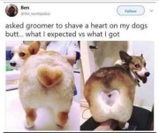 ew | Thanks, I Hate It | Know Your Meme ew | Thanks, I Hate It
