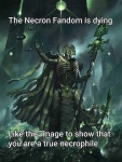 NECRON FANS RISE UP | /r/grimdank | Know Your Meme NECRON FANS RISE UP | /r/grimdank