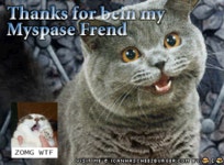 [Image - 34349] | Happy Cat | Know Your Meme [Image - 34349] | Happy Cat