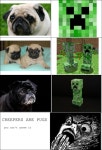 [Image - 192008] | Minecraft Creeper | Know Your Meme [Image - 192008] | Minecraft Creeper