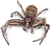 [Image - 780009] | Spiders | Know Your Meme [Image - 780009] | Spiders