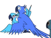 Freaky Rio Birds | Rule 34 | Know Your Meme Freaky Rio Birds | Rule 34