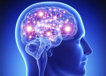 Neurons Heating Up | Galaxy Brain | Know Your Meme Neurons Heating Up  | Galaxy Brain