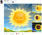 Baby sun | 2017 Solar Eclipse | Know Your Meme Baby sun | 2017 Solar Eclipse