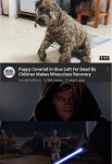 Those damn kids | /r/PrequelMemes | Know Your Meme Those damn kids | /r/PrequelMemes