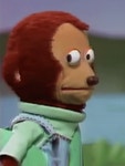 GIF of the meme | Awkward Look Monkey Puppet | Know Your Meme GIF of the meme | Awkward Look Monkey Puppet