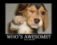 thats right | /r/wholesomememes | Know Your Meme thats right | /r/wholesomememes
