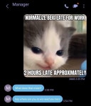 Hehe Cat: Image Gallery | Know Your Meme Know Your Meme