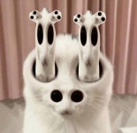 Alien Cat: Image Gallery | Know Your Meme Know Your Meme