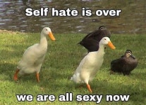 stay sexy fellas | /r/wholesomememes | Know Your Meme stay sexy fellas | /r/wholesomememes