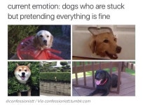were good, we got this | /r/wholesomememes | Know Your Meme were good, we got this  | /r/wholesomememes
