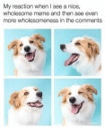A wholesome meme about wholesome memes :) | /r/wholesomememes | Know Your Meme A wholesome meme about wholesome memes :) | /r... 