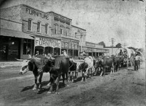 County, 1890 | Know Your Meme An oxen train moving down Main Street in Hico, Hamilton County, 1890
