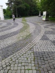A fairy path? | Know Your Meme A fairy path?