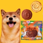 종합쇼핑몰 | LATELY(레이틀리)