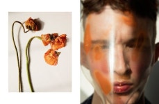 BROKEN FLOWERS (Fucking Young)