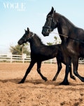 Majesty on horseback by OSCAR MUNART (Vogue Arabia)