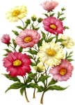 Pin on 보타니컬