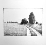 #봄날의절정 #산책길그림 #수채화 #풍경화 #watercolorpainting #creative #nature #landscape #walk #aquarelle #flowerway