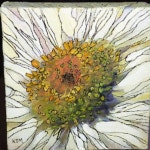 보태니컬아트 #보타니컬아트 #보태니컬아트레슨 #식물세밀화 #꽃그림 #스페이스림 #홍대취미미술 #색연필화... 