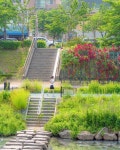 산책로