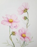 Pin page 천아트에 있는 유튜브;초미아트님의 핀 | 꽃그림, 코스모스 꽃, 꽃 드로잉