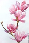 채색화/ 아네모네(김해민화/김해민화화실/김해취미미술/김해공방/김해미술/부산민화/양산민화/마산민화/창원민화/경남민화/태교미술)