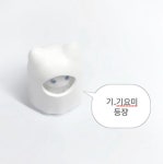 실바니안 프사