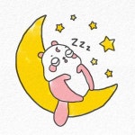 하늘다람쥐
