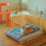 좋은 숨숨집을 발견.