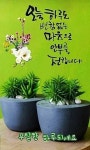인사말에 있는 Sandra님의 핀 | 멋진 문구, 현명 인용구, 삶의 교훈 인용구