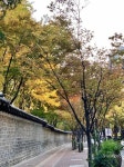 Deoksugung Palace Stonewall Walkway [덕수궁 돌담길]