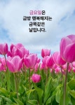 금요일