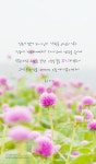 Pin oleh delightsun . di 캘 리그라피