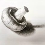 Cara Delevigne / 패션일러스트, 패션드로잉 / 모델그리기, 인물화, 인물그리기, 전신그리기 / 색연필화, 세밀화, 인물세밀화