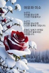 행복하게 살아요. 행복하게 살아요. | 새해 문구, 멋진 문구, 좋은 아침 인사