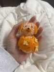 꿀단지