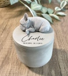 반려견들을 위한 나무로된 유골함 #21그램 #21gram