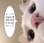 Pin page MM에 있는 10005님의 핀 | 고전 문구, 귀여운 여자아이 사진, 만화 프로필 사진