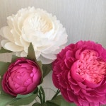 보타니컬아트 #보타니컬아트레슨 #홍대취미미술 #식물세밀화 #꽃그림#스페이스림 #색연필화 #botanicalportraits... 